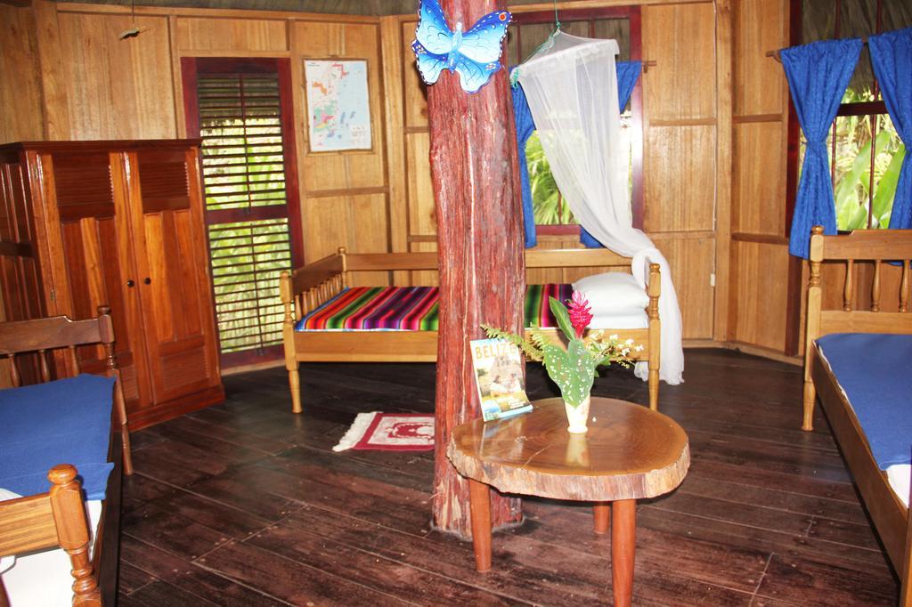 Sun Creek Lodge Punta Gorda Pokoj fotografie