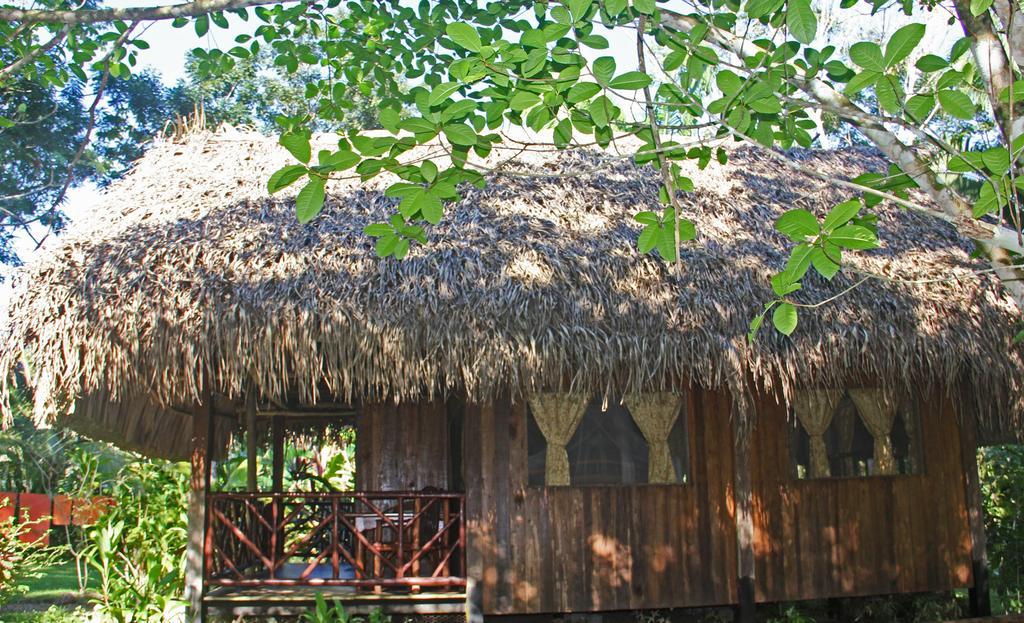 Sun Creek Lodge Punta Gorda Pokoj fotografie